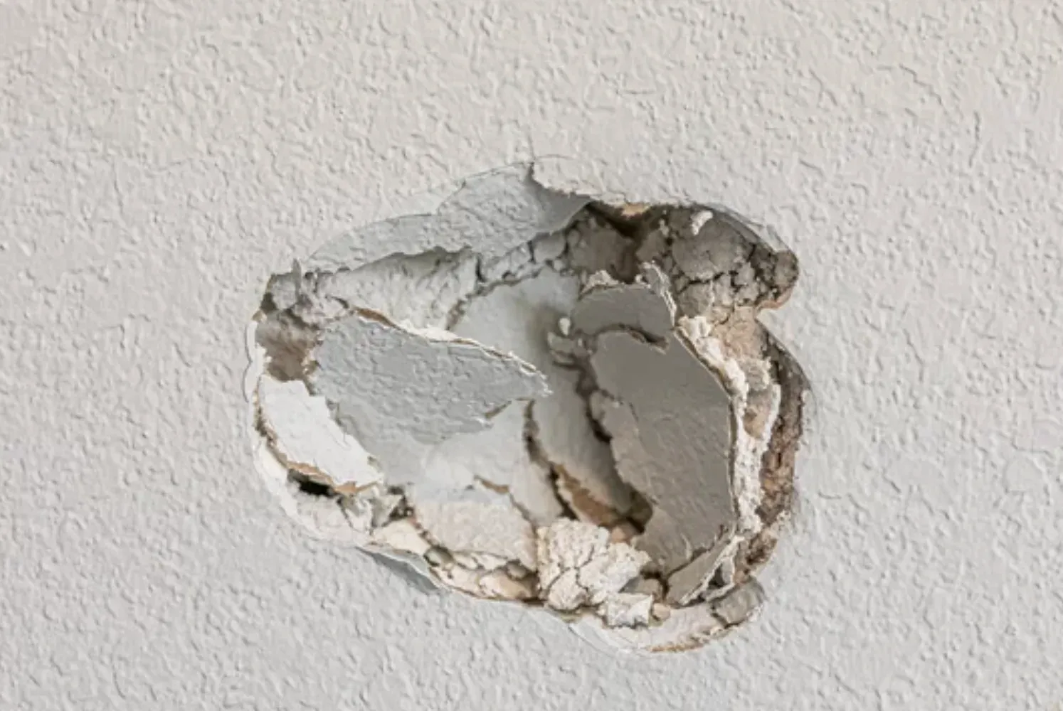 Hole punched in an interior drywall wall, awaiting patch and repair