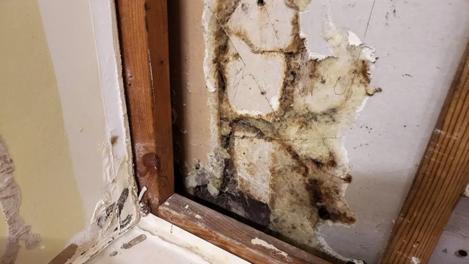 A bathroom wall corner opened beside the tub, mould spread across the exposed board behind