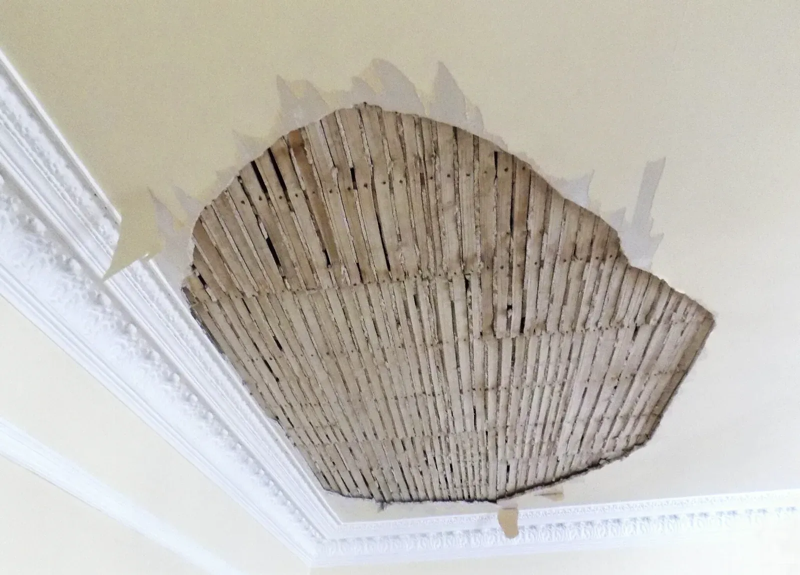 Large section of ceiling plaster fallen away to expose the wood lath, surrounded by ornate period crown molding