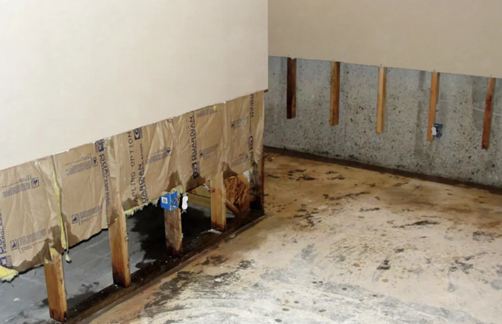 Flood-cut drywall removed to the studs along a water-damaged lower wall, mold on the exposed foundation and a stained concrete floor